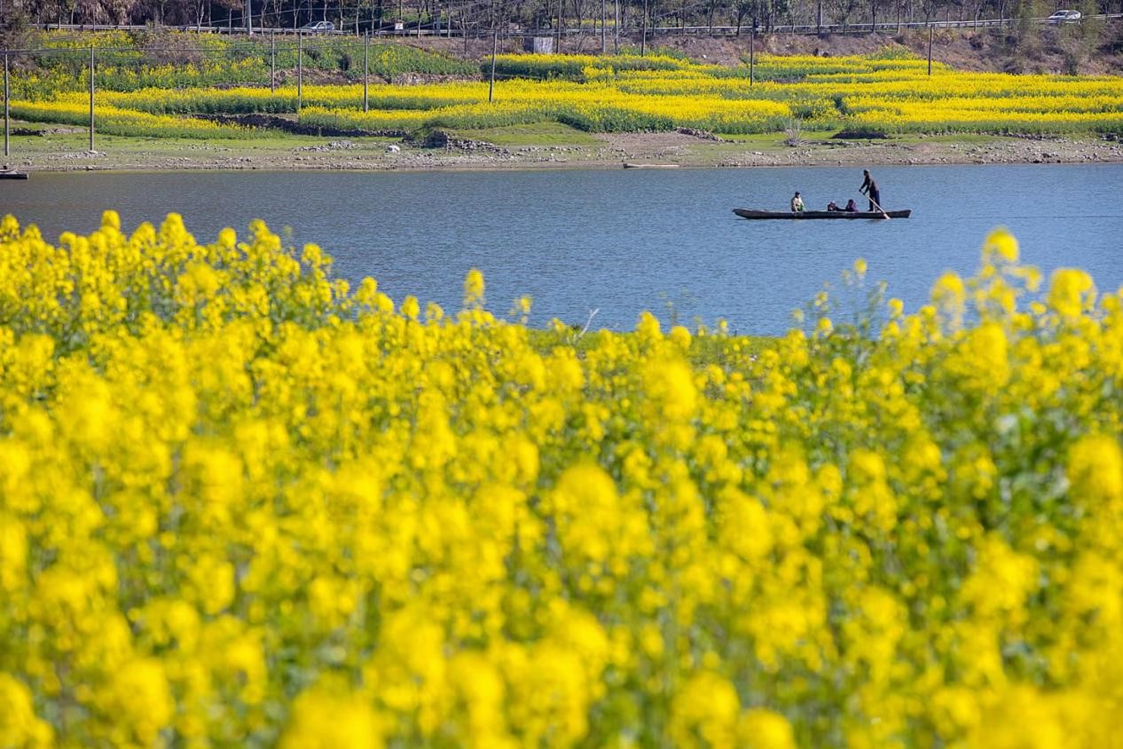 黄河沿线九大著名景观 历数祖国母亲河的壮丽美景_凤凰旅游